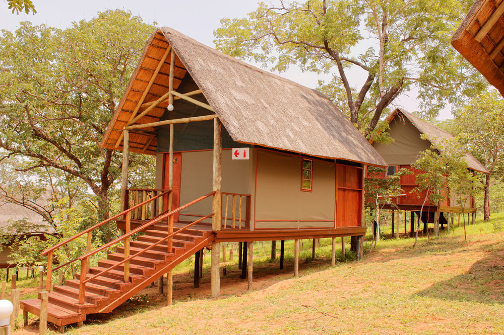 Lion Roars Lodge Lesoma ภายนอก รูปภาพ