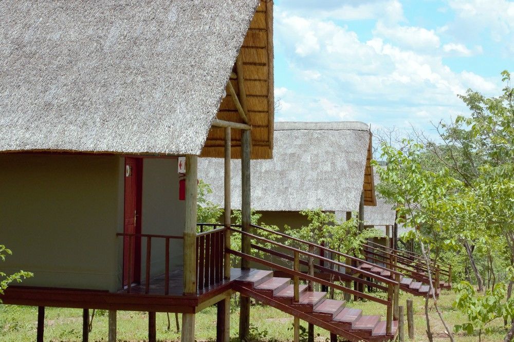 Lion Roars Lodge Lesoma ภายนอก รูปภาพ