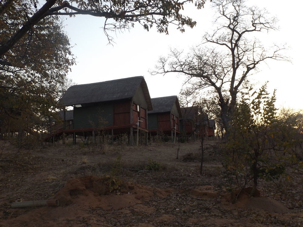 Lion Roars Lodge Lesoma ภายนอก รูปภาพ