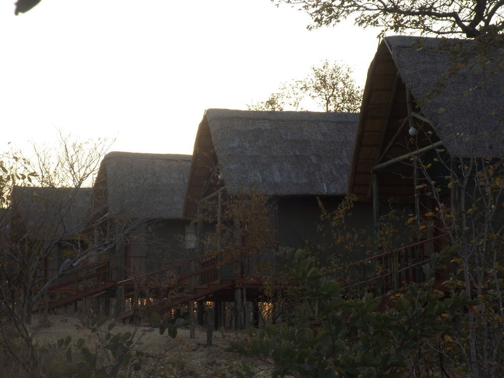 Lion Roars Lodge Lesoma ภายนอก รูปภาพ