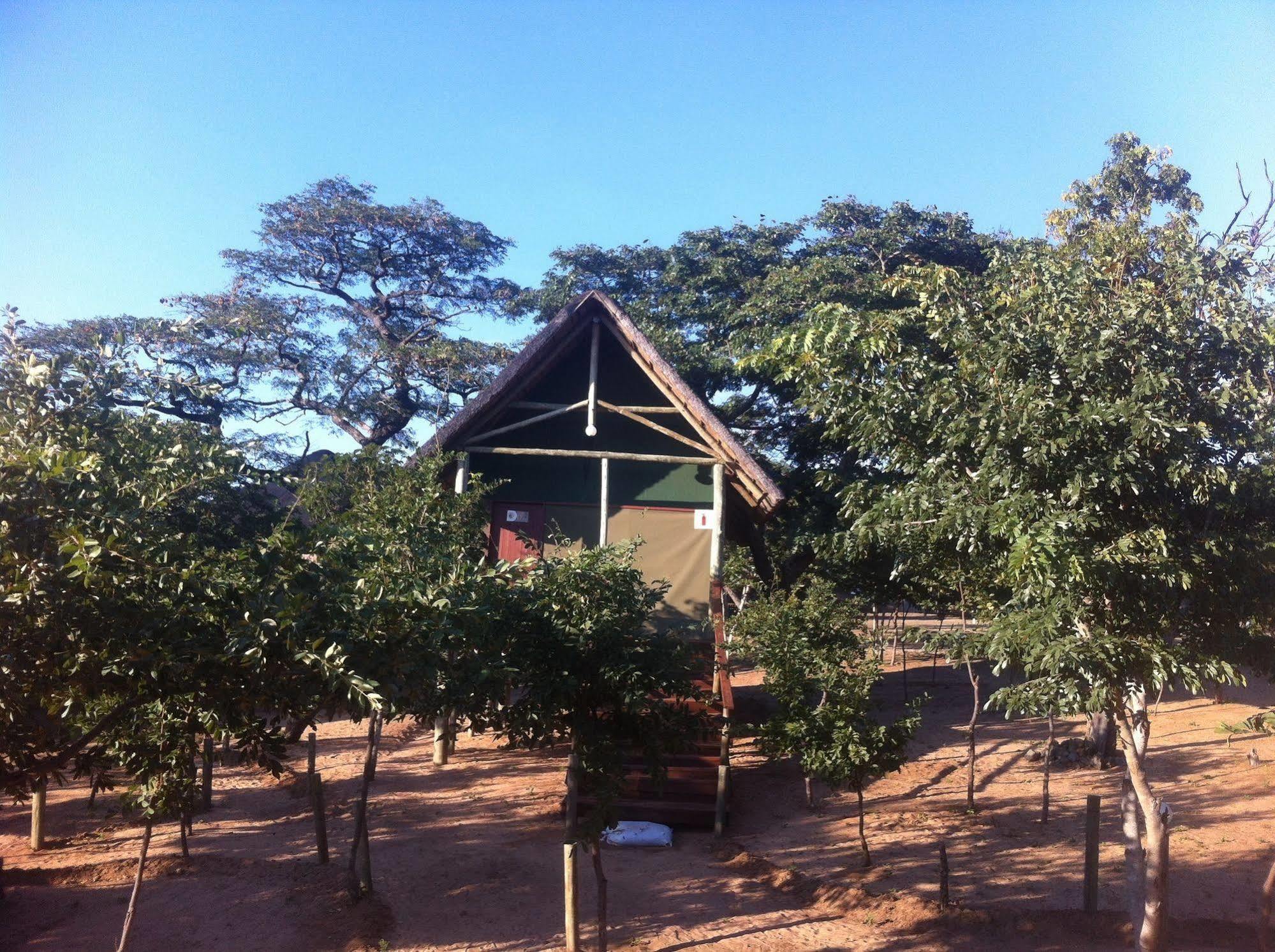 Lion Roars Lodge Lesoma ภายนอก รูปภาพ