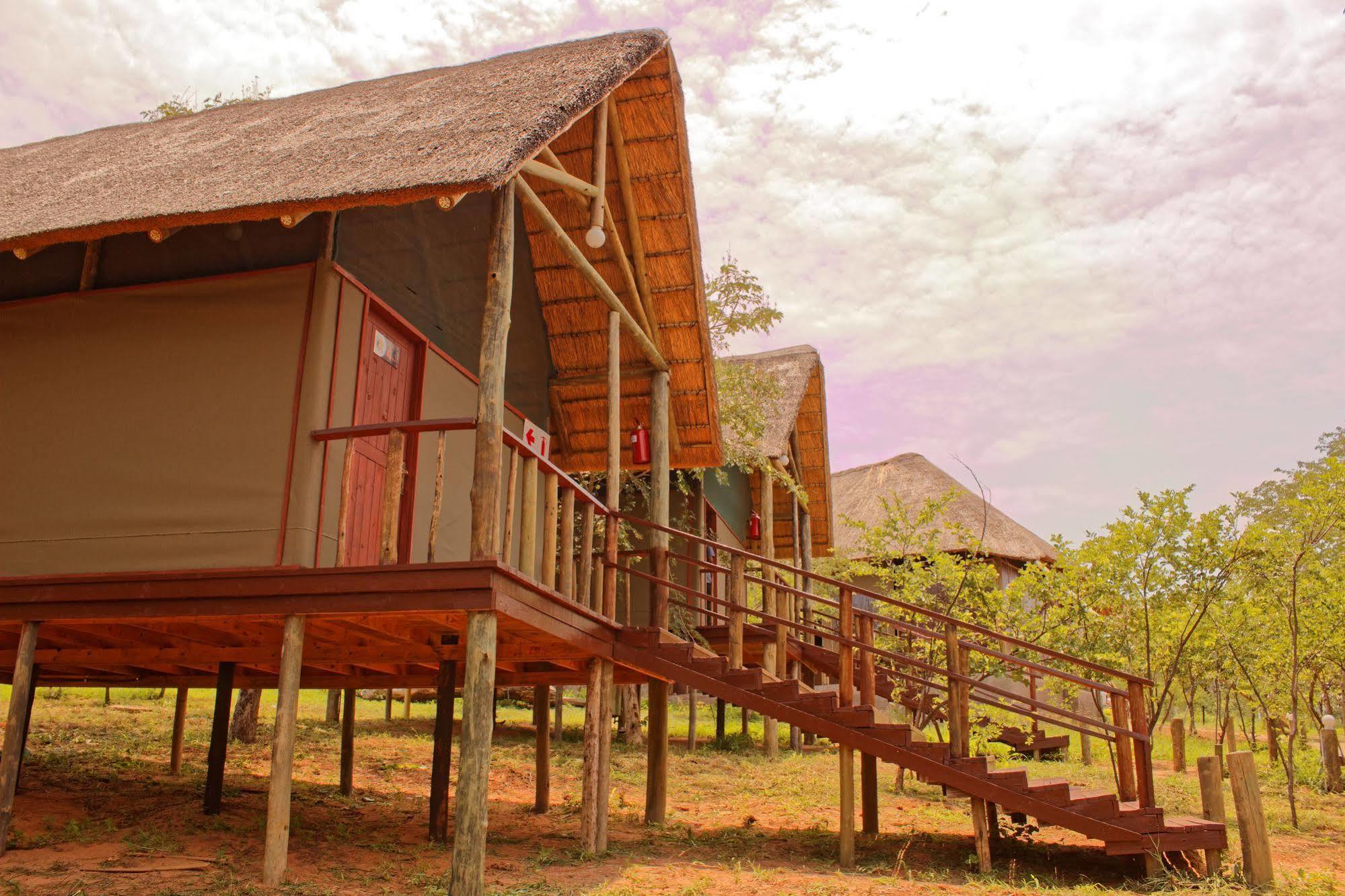Lion Roars Lodge Lesoma ภายนอก รูปภาพ