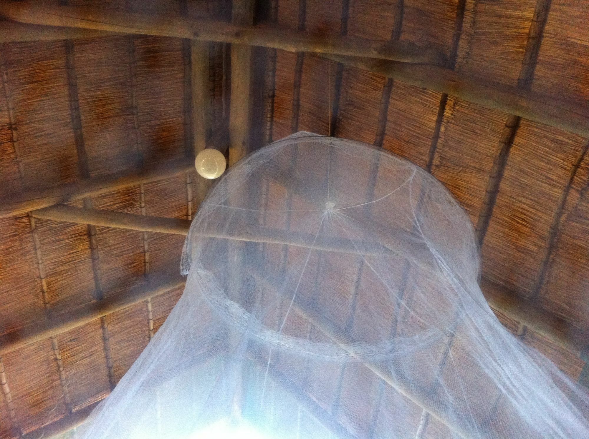 Lion Roars Lodge Lesoma ภายนอก รูปภาพ
