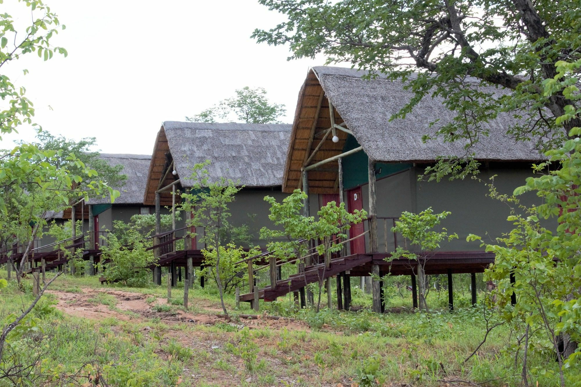 Lion Roars Lodge Lesoma ภายนอก รูปภาพ