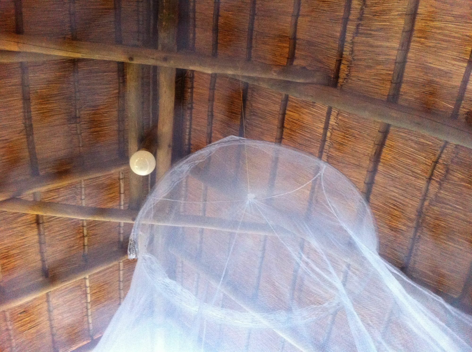 Lion Roars Lodge Lesoma ภายนอก รูปภาพ